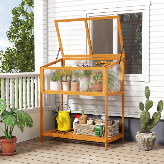 Wood Cold Frame Greenhouse with Openable Roof and Storage Shelf