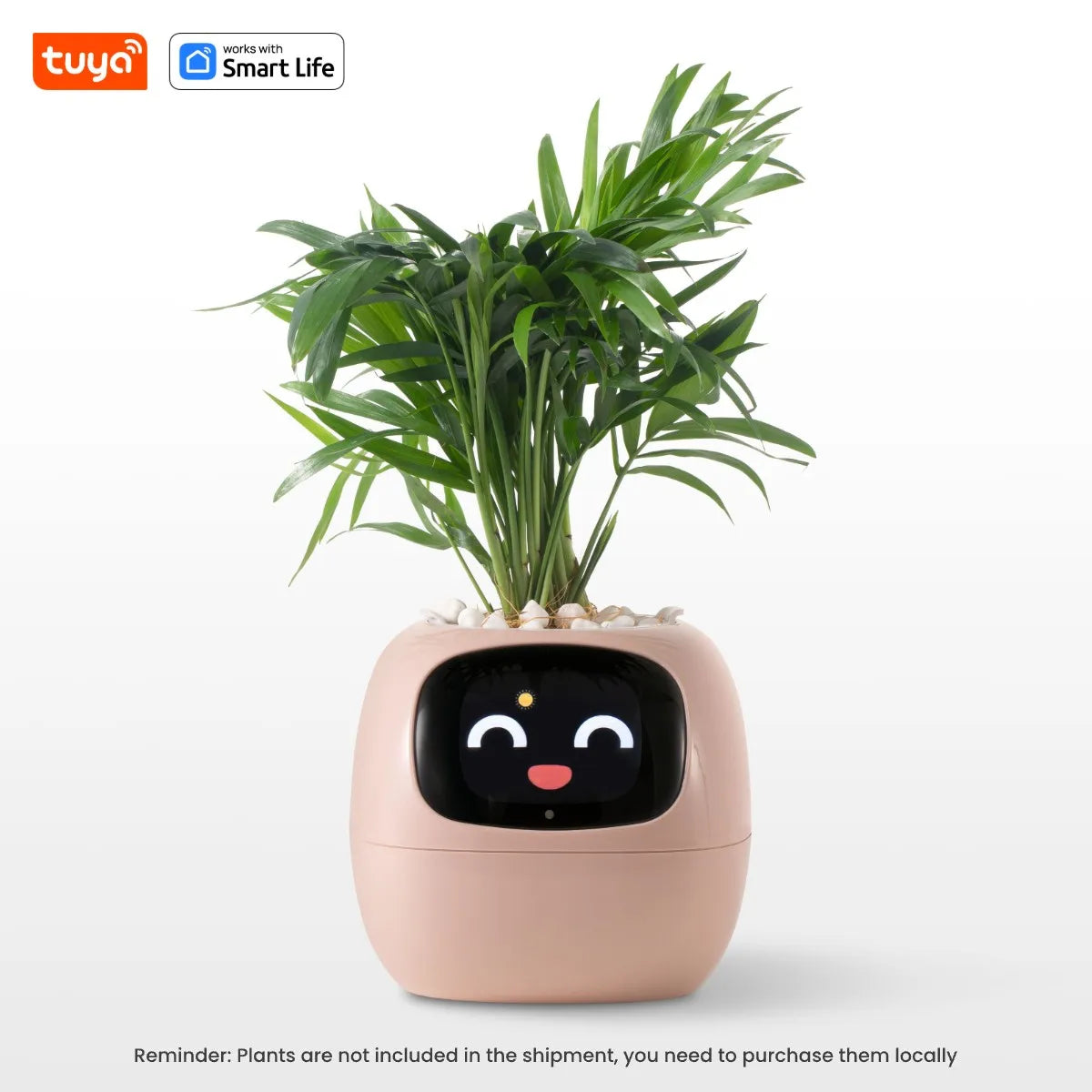 Smart Planter with AI Sensors and Fun Expressions