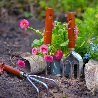 Garden Tools & Equipment