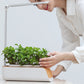 Hydroponic Indoor Herb Garden Kit with Smart LED Grow Lamp