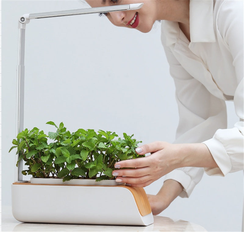 Hydroponic Indoor Herb Garden Kit with Smart LED Grow Lamp