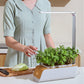 Hydroponic Indoor Herb Garden Kit with Smart LED Grow Lamp