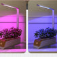 Hydroponic Indoor Herb Garden Kit with Smart LED Grow Lamp