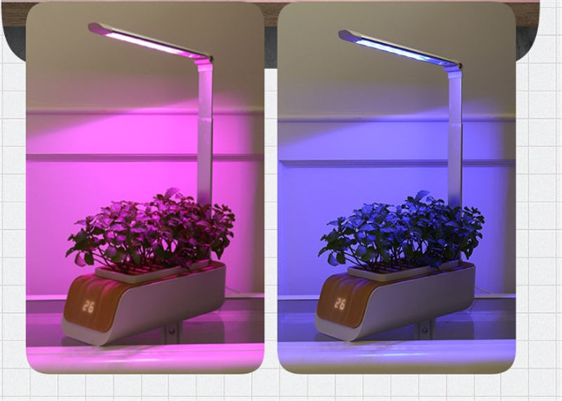 Hydroponic Indoor Herb Garden Kit with Smart LED Grow Lamp