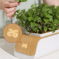 Hydroponic Indoor Herb Garden Kit with Smart LED Grow Lamp