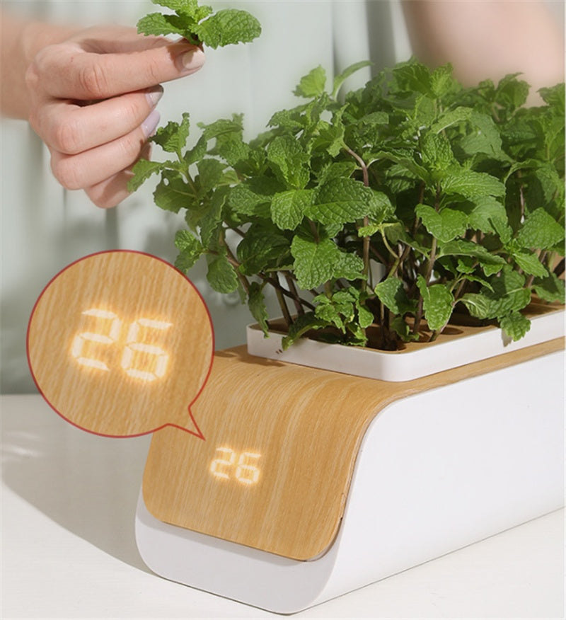 Hydroponic Indoor Herb Garden Kit with Smart LED Grow Lamp