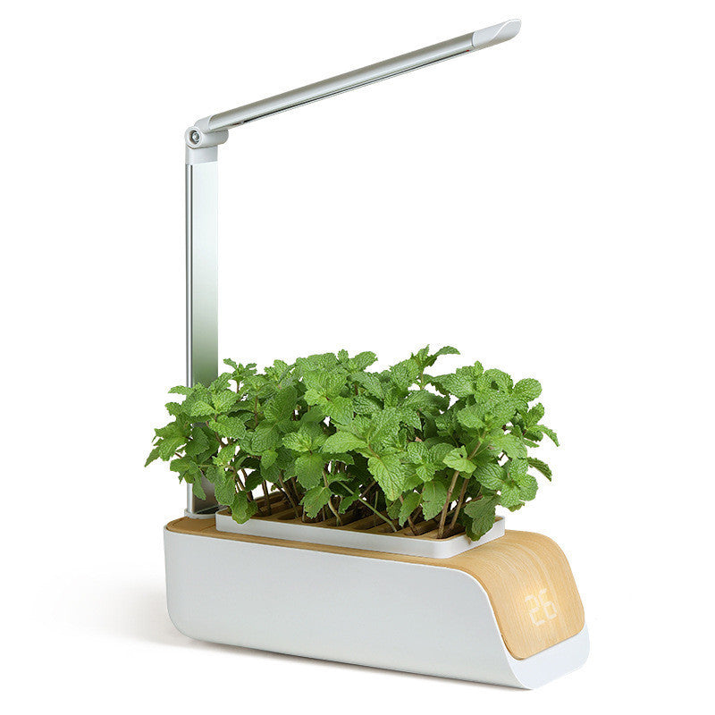 Hydroponic Indoor Herb Garden Kit with Smart LED Grow Lamp