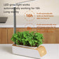Hydroponic Indoor Herb Garden Kit with Smart LED Grow Lamp