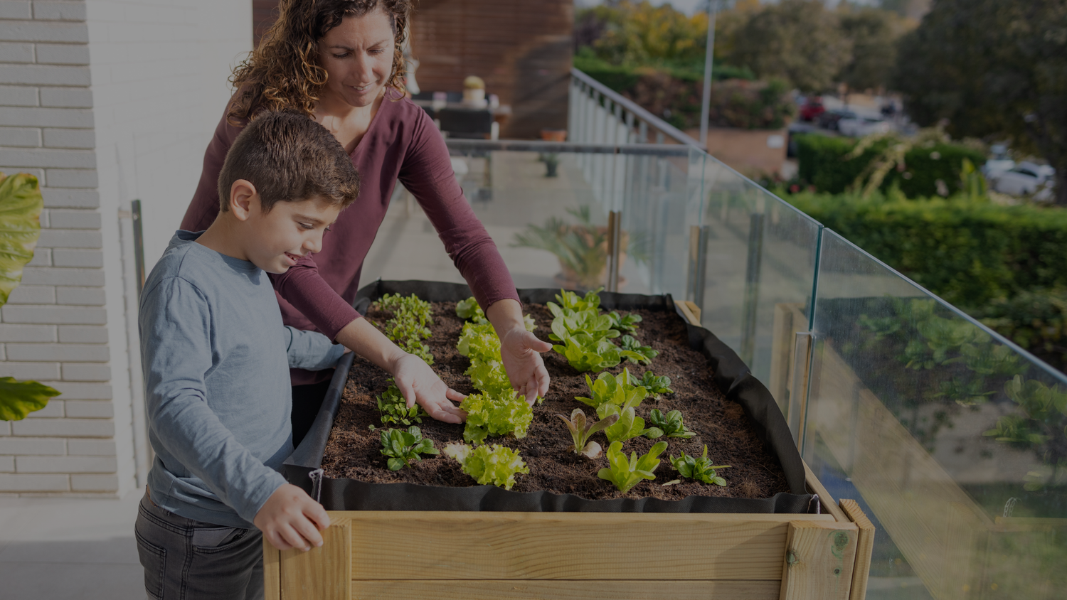 Mother and child planting lettuce together in wooden raised garden bed