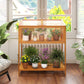 Wood Cold Frame Greenhouse with Openable Roof and Storage Shelf