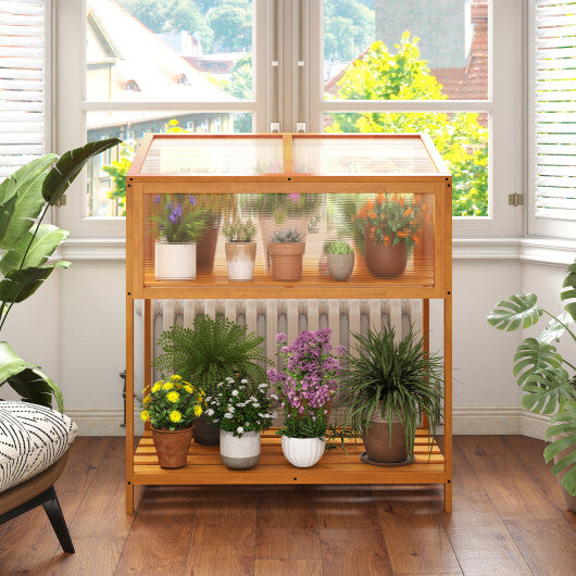 Wood Cold Frame Greenhouse with Openable Roof and Storage Shelf