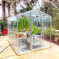 Palmetto Greenhouse 8' x 10'