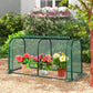 Mini Tunnel Greenhouse with Roll-up Zipper Door-Green