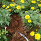 For Home Flower Planting Pot Fork Pruning Shear Gardening Tools