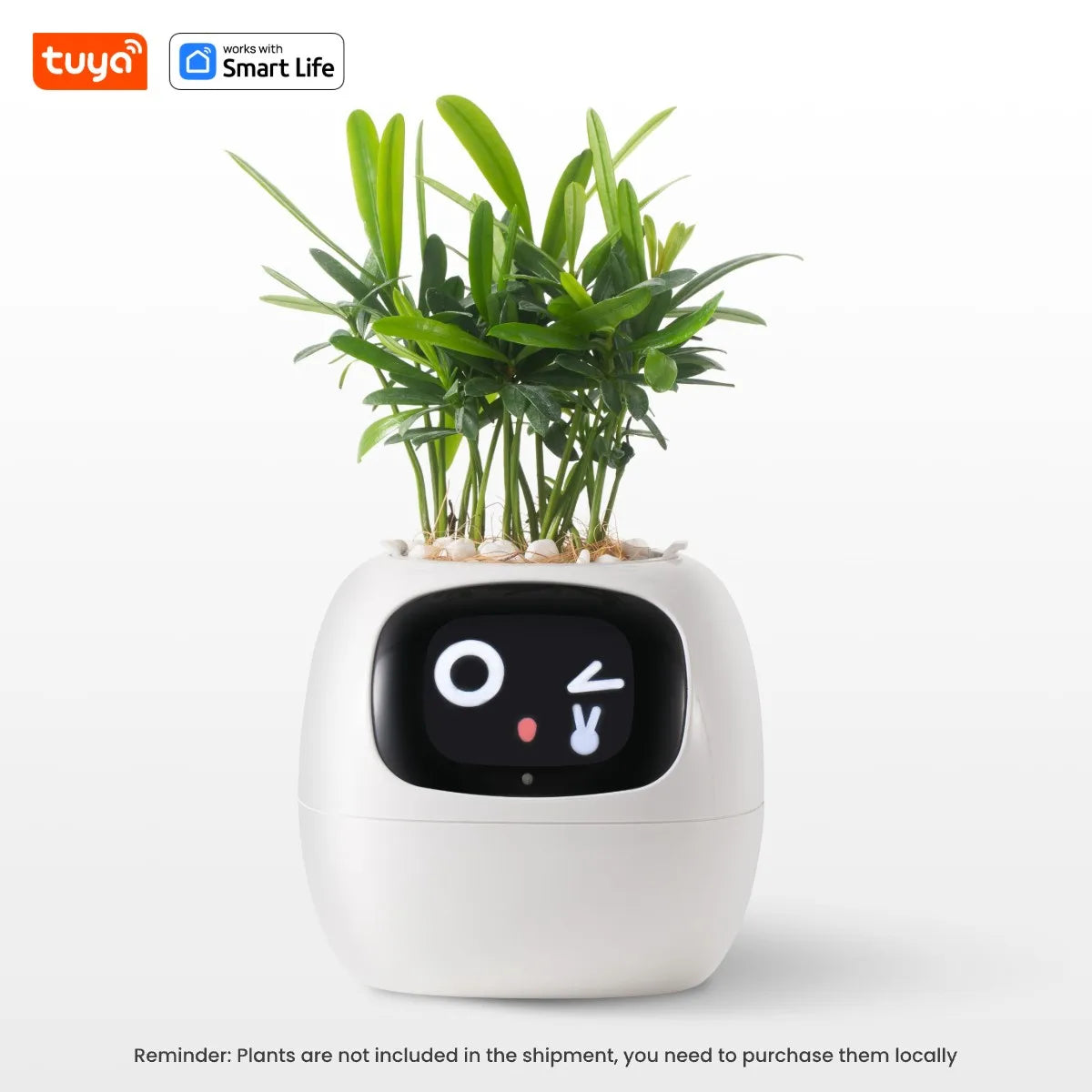 Smart Planter with AI Sensors and Fun Expressions
