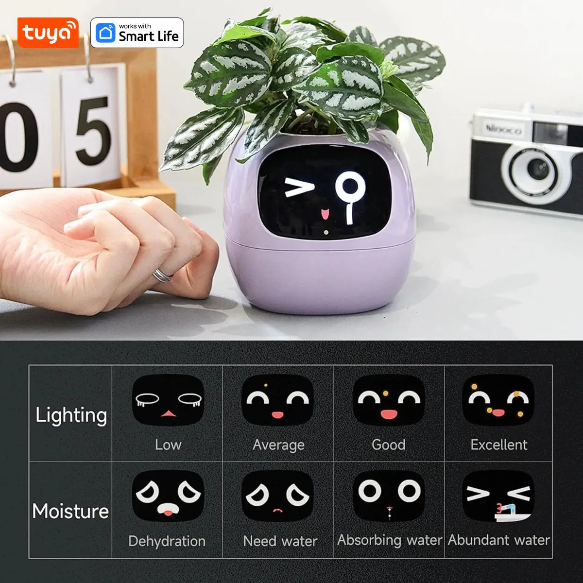 Smart Planter with AI Sensors and Fun Expressions