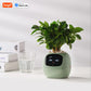 Smart Planter with AI Sensors and Fun Expressions