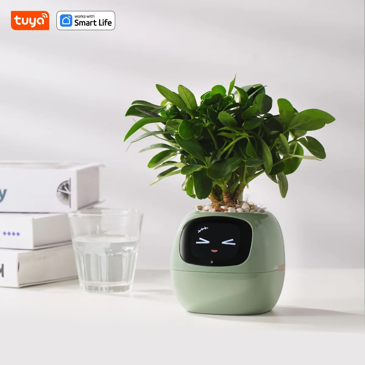 Smart Planter with AI Sensors and Fun Expressions
