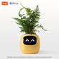 Smart Planter with AI Sensors and Fun Expressions
