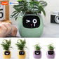Smart Planter with AI Sensors and Fun Expressions