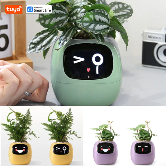 Smart Planter with AI Sensors and Fun Expressions